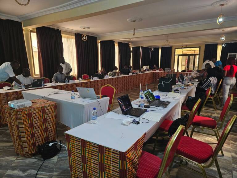 Séance de travail pratique lors de l'atelier SIGDEP/OpenELIS